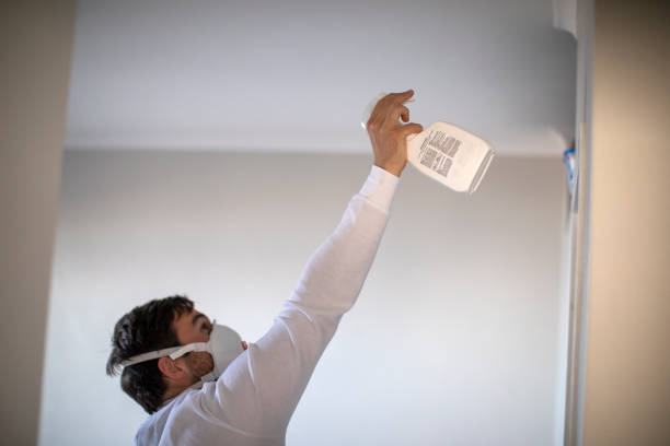 Best Certified Mold Removal  in Castlewood, VA