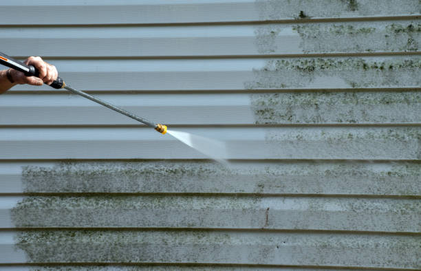 Certified Mold Removal in Castlewood, VA